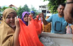 146983 182845aceb39c9e413e28fd549058cf8 146983