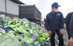 IMG 20250516 WA0024 e1747459339488