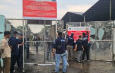 zmg2w4ndpkf13gp e1748186042496