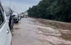 WhatsApp Image 2025 06 28 at 18.20.33