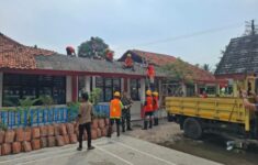 WhatsApp Image 2025 08 13 at 03.15.54