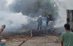 WhatsApp Image 2025 09 02 at 20.26.01 1 e1756827465161