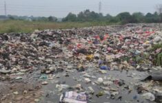 WhatsApp Image 2025 09 16 at 08.15.06