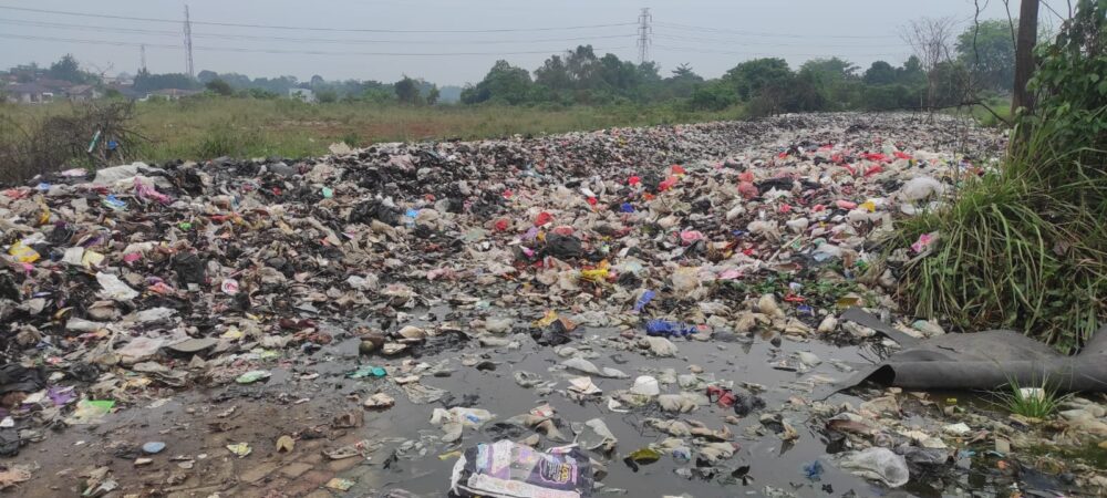 WhatsApp Image 2025 09 16 at 08.15.06