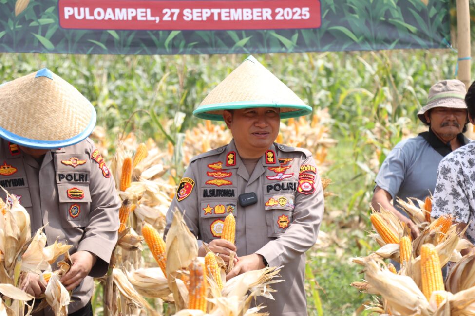 WhatsApp Image 2025 09 27 at 06.23.57