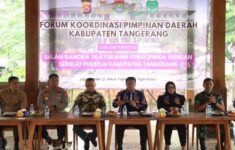 WhatsApp Image 2025 10 04 at 13.13.57 1