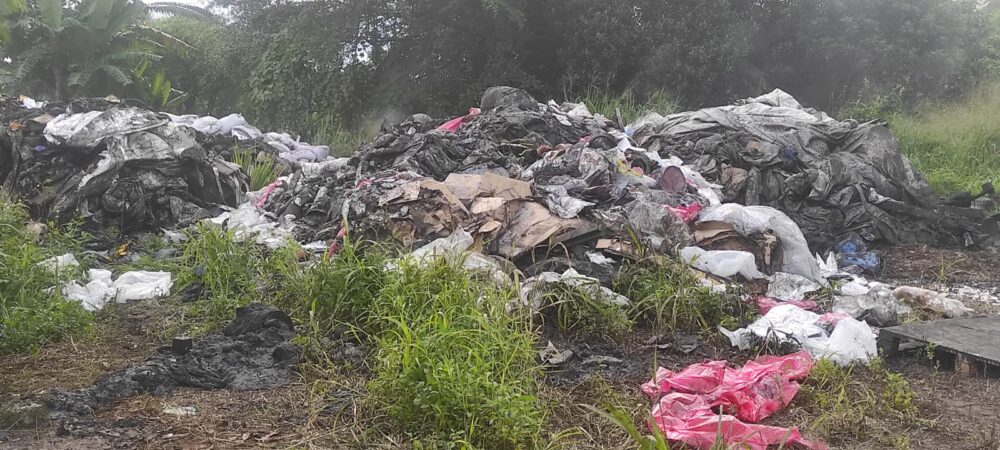 WhatsApp Image 2025 11 05 at 22.48.51