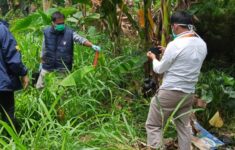 WhatsApp Image 2025 11 19 at 00.39.17