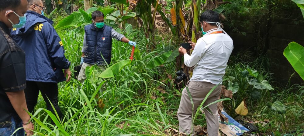 WhatsApp Image 2025 11 19 at 00.39.17