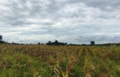 WhatsApp Image 2025 12 27 at 21.34.50