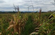 WhatsApp Image 2025 12 28 at 12.34.52 1