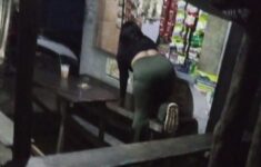 IMG 20251229 233138 e1767204690826