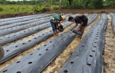 WhatsApp Image 2026 01 01 at 06.06.34