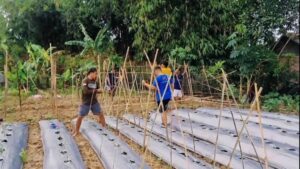 WhatsApp Image 2026 01 04 at 03.51.21 1