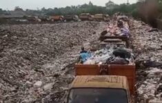 WhatsApp Image 2026 01 10 at 14.07.17 e1768029409396