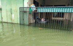 WhatsApp Image 2026 01 13 at 21.55.18