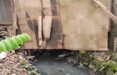 05ec4308 1187 4c93 9e51 e9127d7d22bd 1 e1772204345349