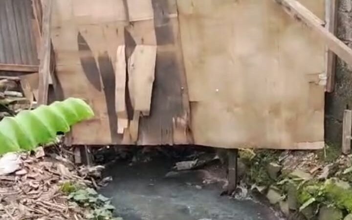 05ec4308 1187 4c93 9e51 e9127d7d22bd 1 e1772204345349