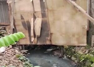 05ec4308 1187 4c93 9e51 e9127d7d22bd