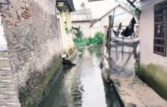 IMG 20260209 WA0047 e1770624454181