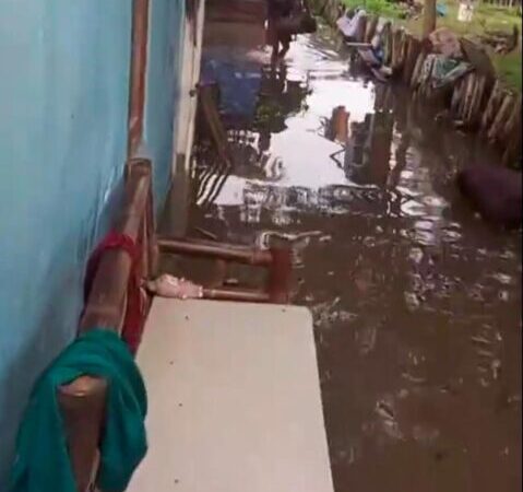 WhatsApp Image 2026 02 07 at 12.22.03