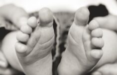 a 699fdaa33c416 e1774670024739